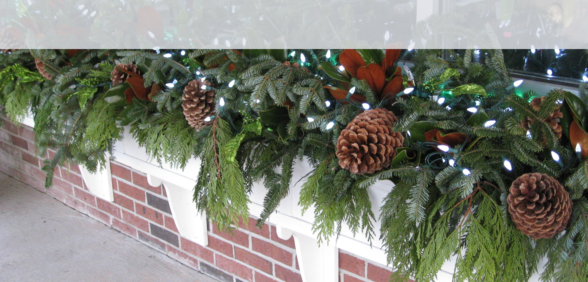 window boxes