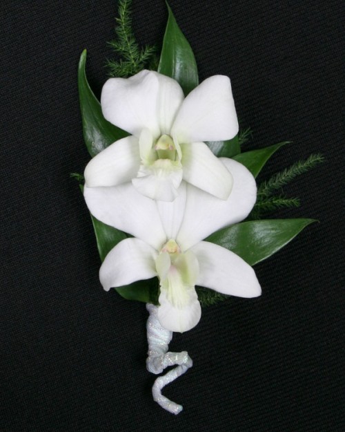 White Dendrobium Orchids *For pick up only
