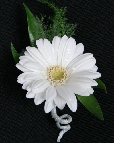 White Gerbera Daisy Boutonniere *For pick up only