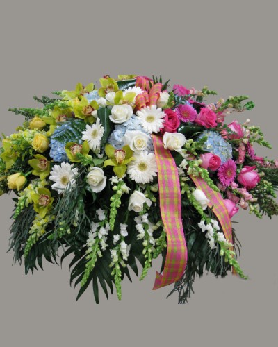 Clusters of Color Casket