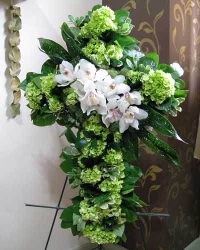 Green Hydrangea/Orchid Cross